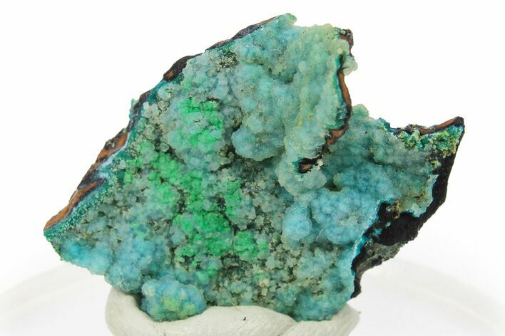 Bright Blue Chrysocolla on Limonite - Namibia #295926